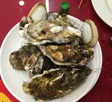Oyster