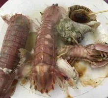 Peeled shrimp