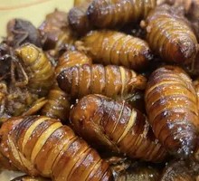 Fried Silkworm Pupae