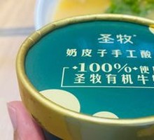 Creamy Milk Yogurt