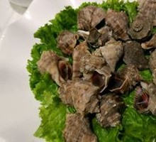 Conch