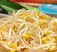 Mung Bean Sprouts