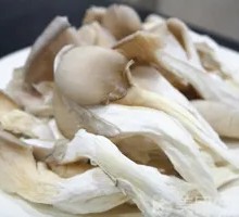 Mushroom