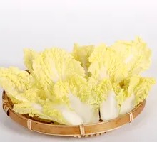 Chinese cabbage