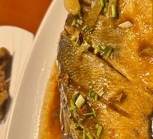 Large Yellow Croaker