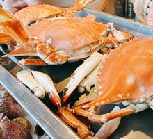 Spider Crab