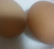 Boiled Egg