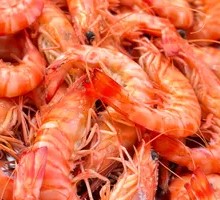 Boiled Shrimp