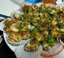 Scallop