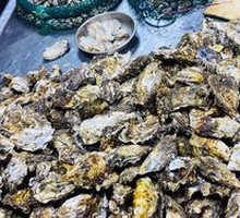20/3lb Oysters