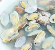 Fresh Clam in Original Juice