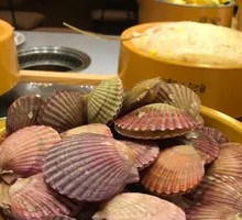 Scallop