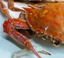 Crab
