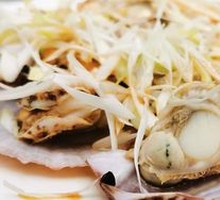 Scallop