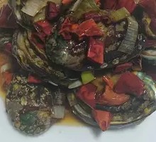 Long Island Abalone
