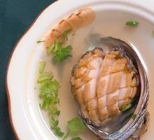 Abalone