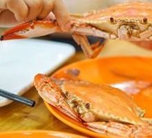 Spider Crab