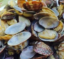 Clam Three Delicacies Soup