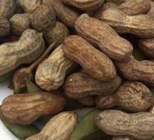 Peanut