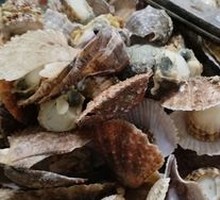 Steamed Seafood