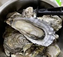 Steamed Oysters