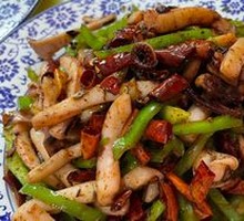 Squid