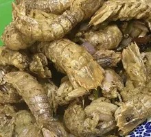 Salted Pepper Squid
