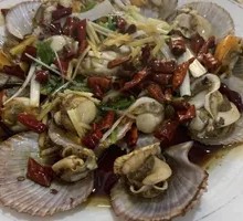 Scallop