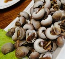 Steamed Sea Snail