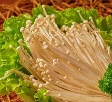Enoki Mushroom