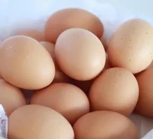 Egg