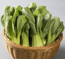 Baby Bok Choy
