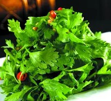 Mountain Celery