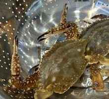Local Swimming Crab