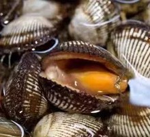 Hair Clam