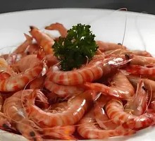 Zebra Shrimp