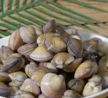 Bamboo Clams