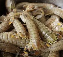 Live Shrimp Stir-fry