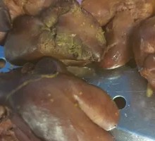 炸鸡肝