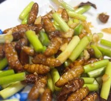 Stir-fried Garlic Shoots with Silkworm Pupae