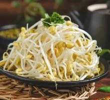 Health-Promoting Mung Bean Sprouts