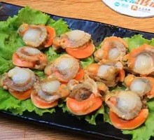 Scallop Meat