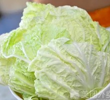 Napa cabbage