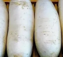 White Radish
