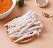 White Cloud Mushroom