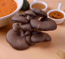 Enoki Mushroom