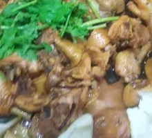 Pan-Fried Chicken Dumplings
