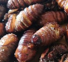 Silkworm Pupa and Cicada Delicacy
