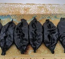 Special Squid Potstickers