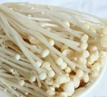 Enoki Mushroom